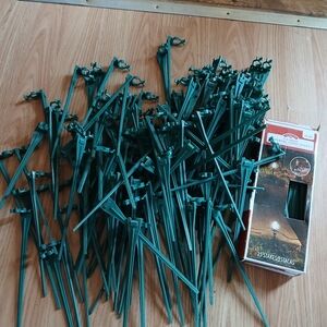 Holiday Time Green Light Stakes